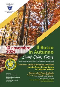 10 Novembre 2024. Il Bosco in Autunno con la CRAG Abruzzo.